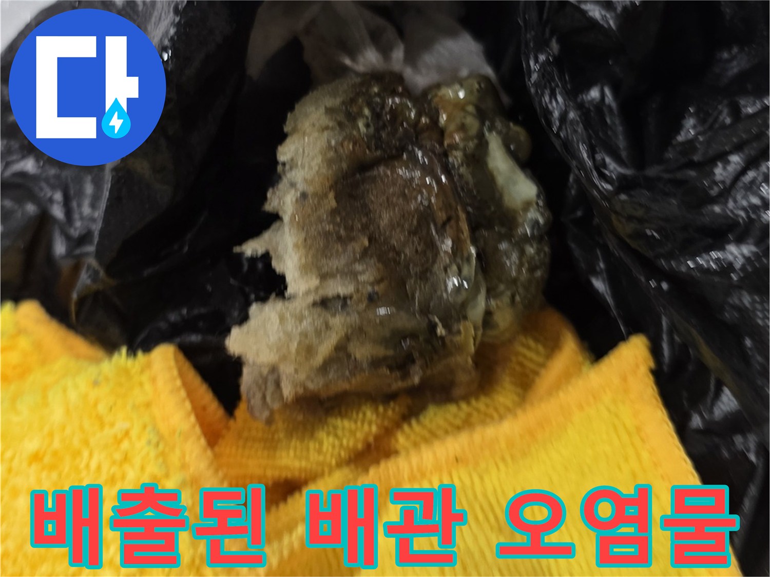 비닐에 담긴-배관에서 나온 거대한 슬러지 뭉치