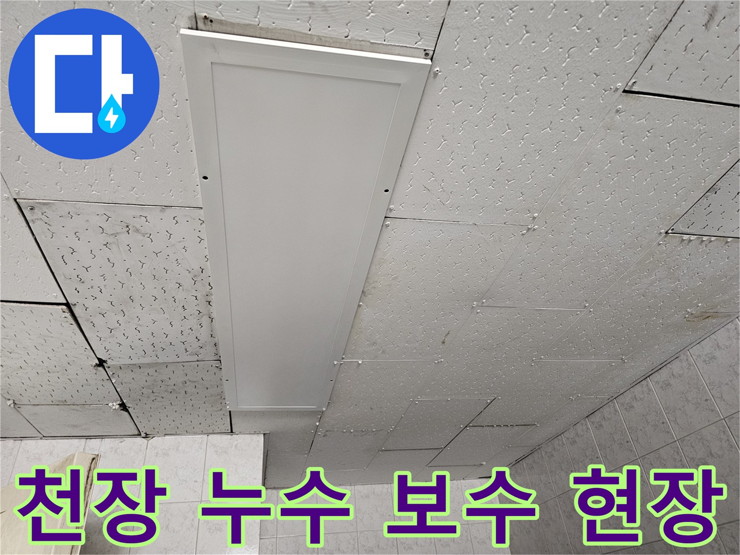 누수 공사 진행 중인-천장 패널과 주변의-누수 흔적을 보여주는 사진