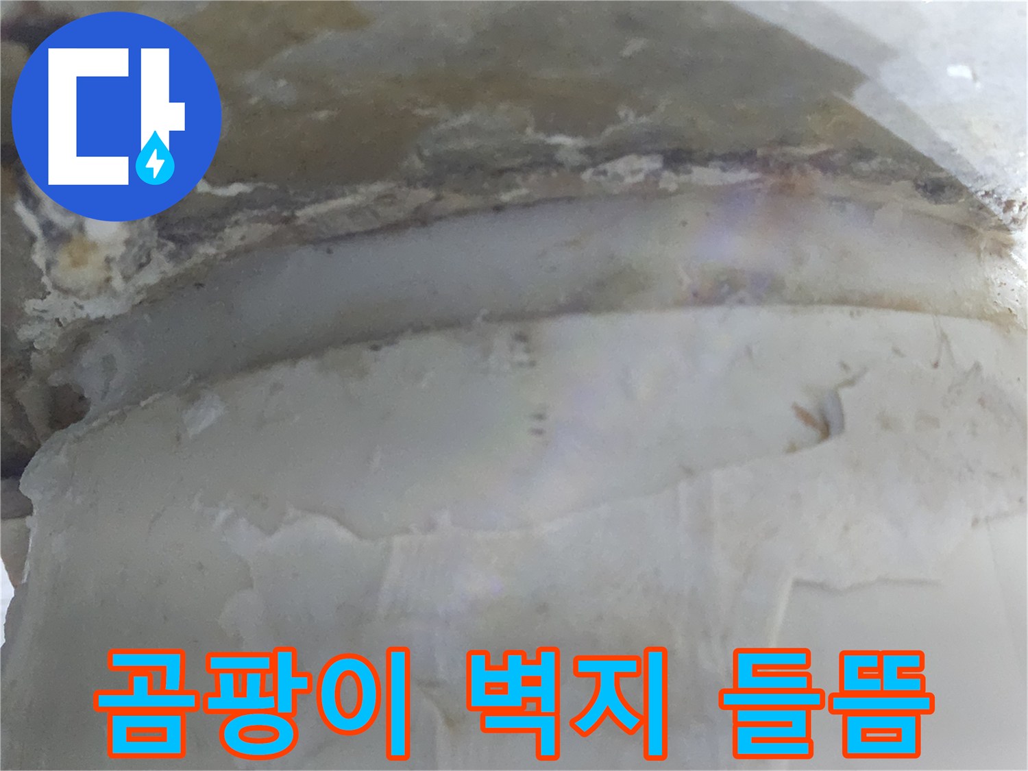 벽면에 곰팡이와 함께-벽지가 들뜬 현상을-보여주는 이미지입니다