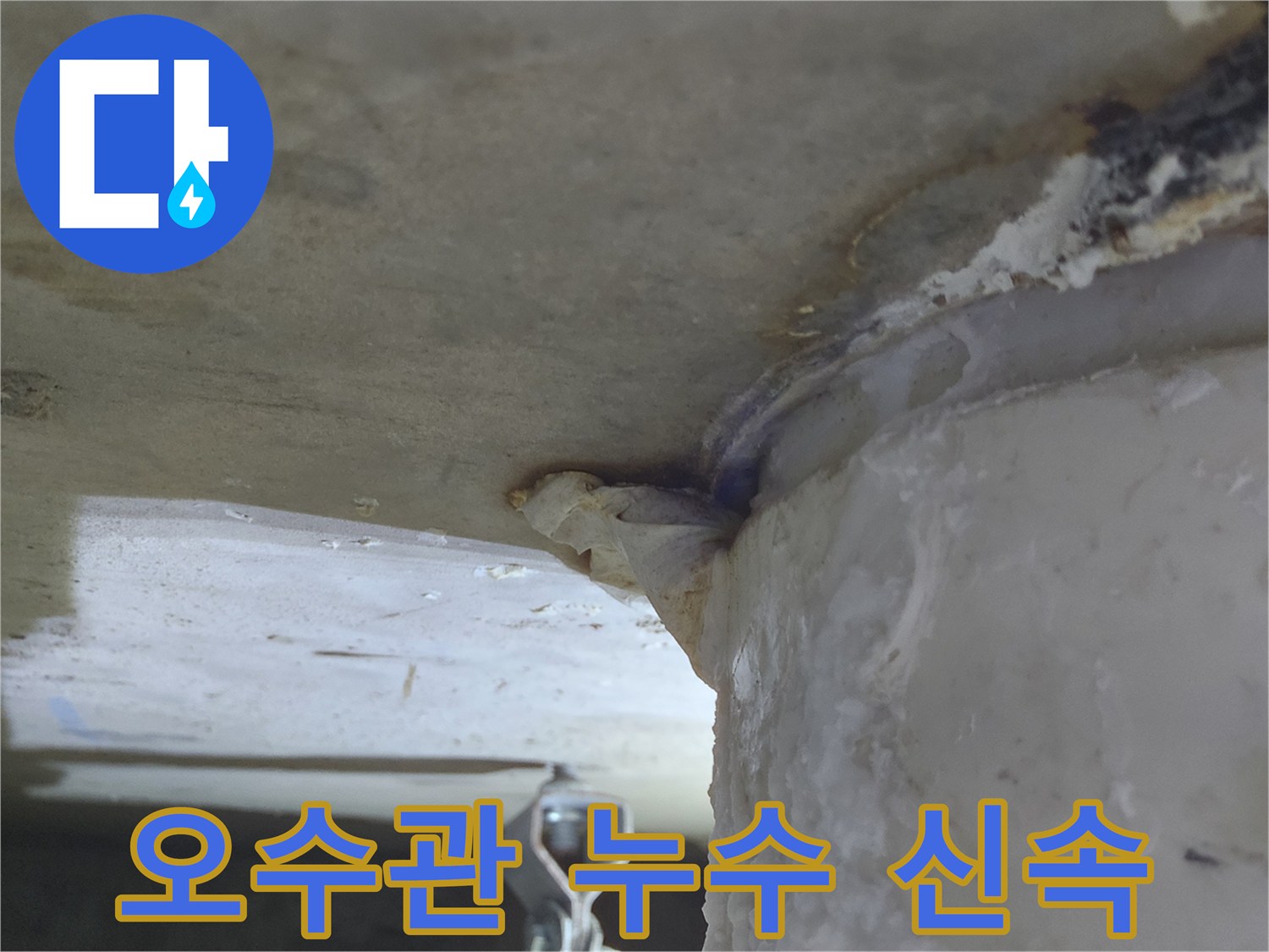 오수관에서-물이 새어 나와-천장으로-흐르는-누수 현장-신속한 조치 필요