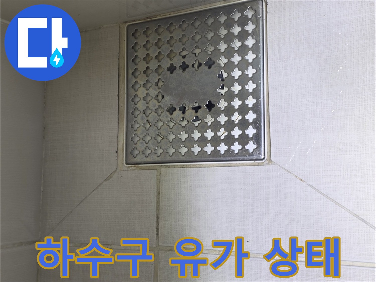 금호동-현장-화장실-배수구-입구-근접촬영