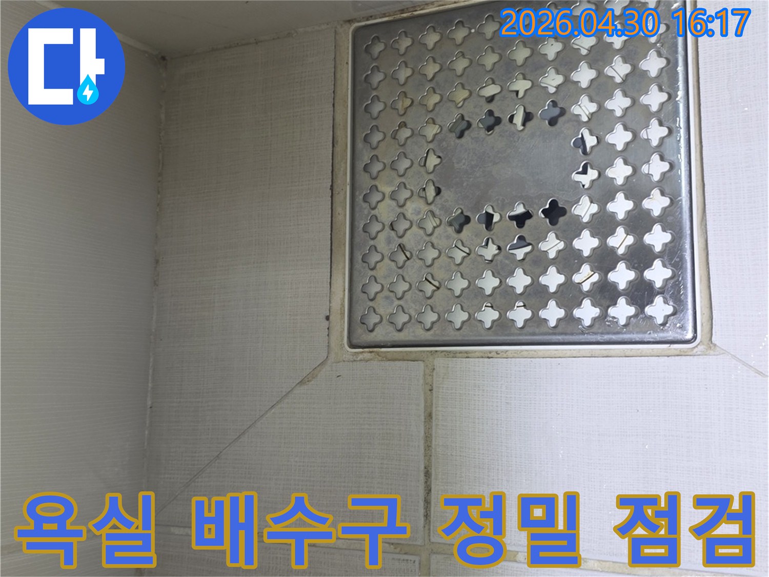 서울 성동구 아파트-욕실 바닥 배수구 주변을-누수 여부 확인을 위해-세심하게 점검하는-전문가의 시선