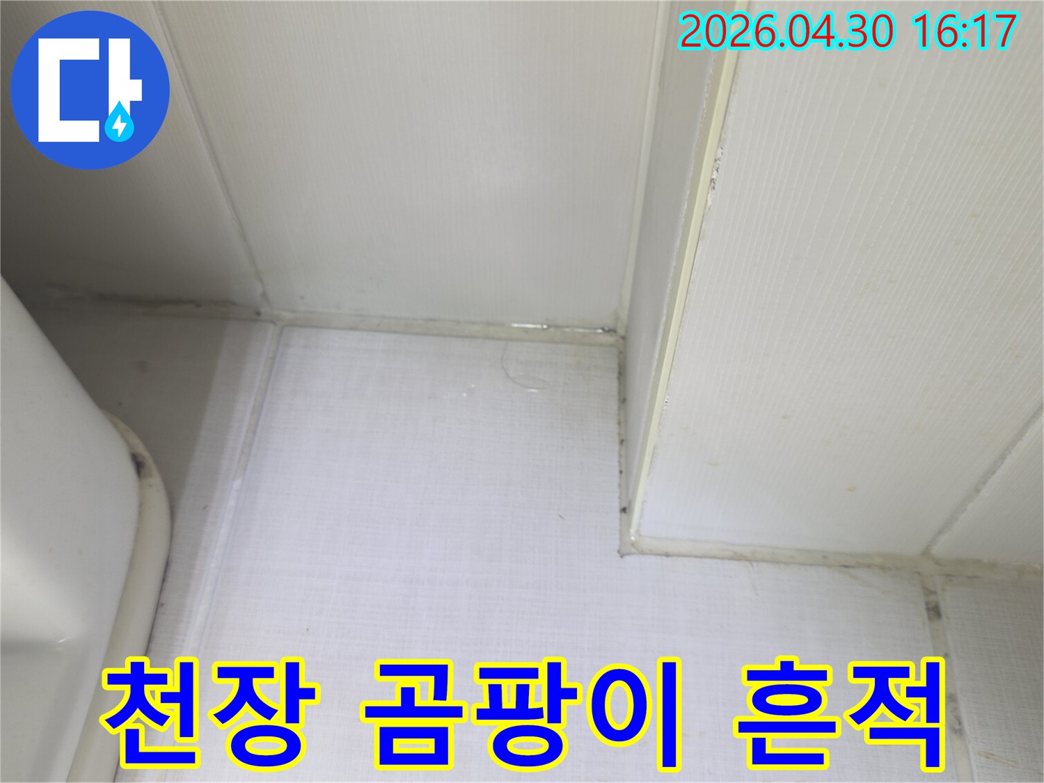 천장과 벽의 경계에서 물이 새어 나와-벽지가 젖고 곰팡이가 시작되는-누수 피해 현장의 증거 사진