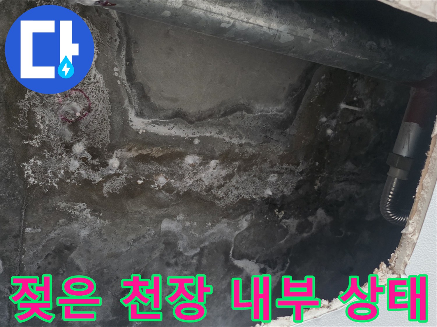 안양 비산동 아파트 주방 점검구 내부-콘크리트 층의 습기와 누수 흔적