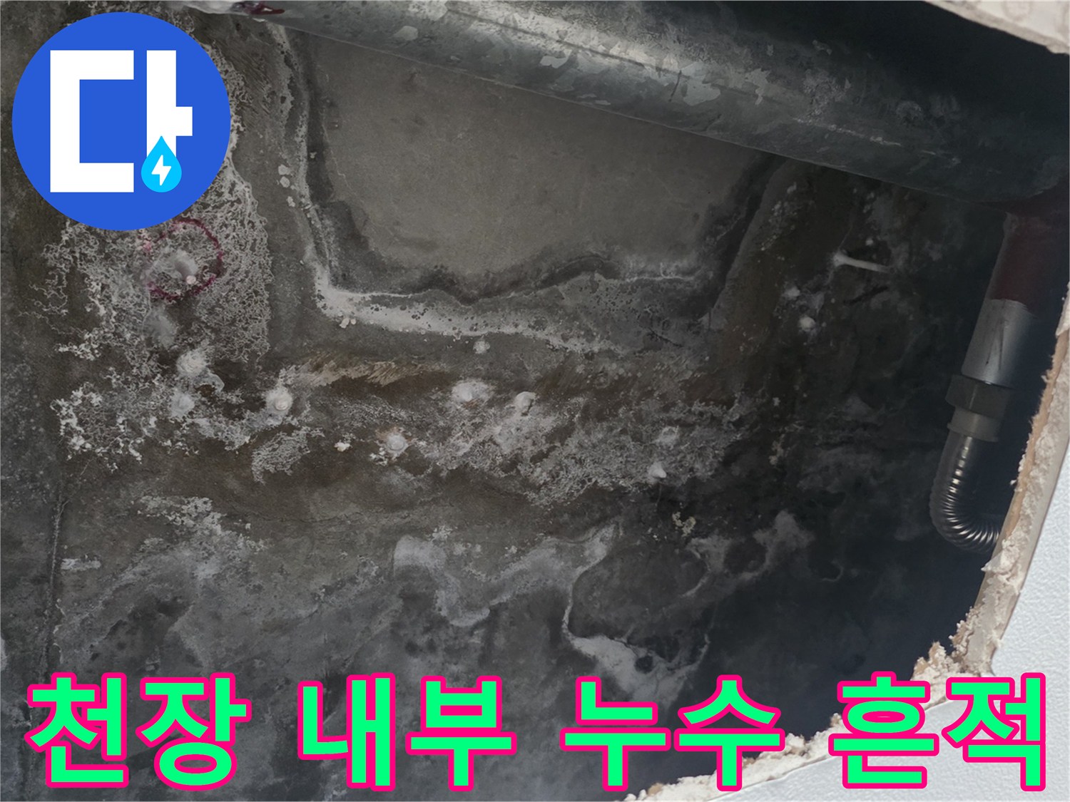 안양 아파트 - 천장 점검구 내부의 젖은 콘크리트 상태