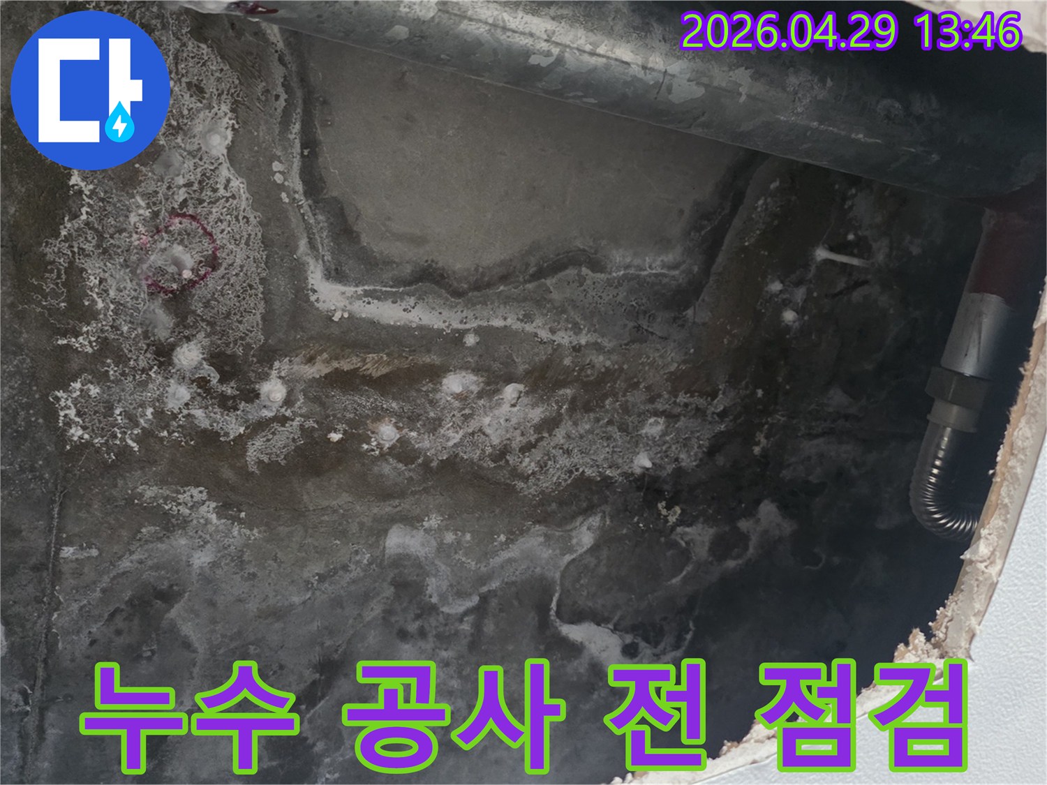 천장 콘크리트 표면에-누수로 인한 물자국과-얼룩이 광범위하게 퍼져있는 현장 사진입니다.