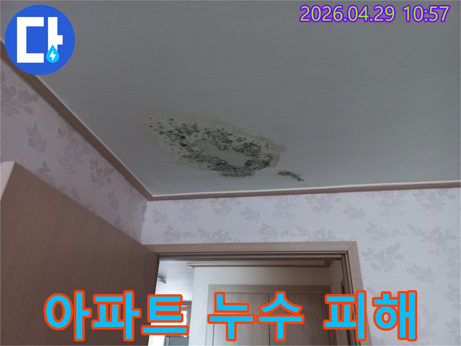 물에-젖어-얼룩지고-곰팡이가-생긴-천장의-심각한-상태를-보여주는-이미지입니다.