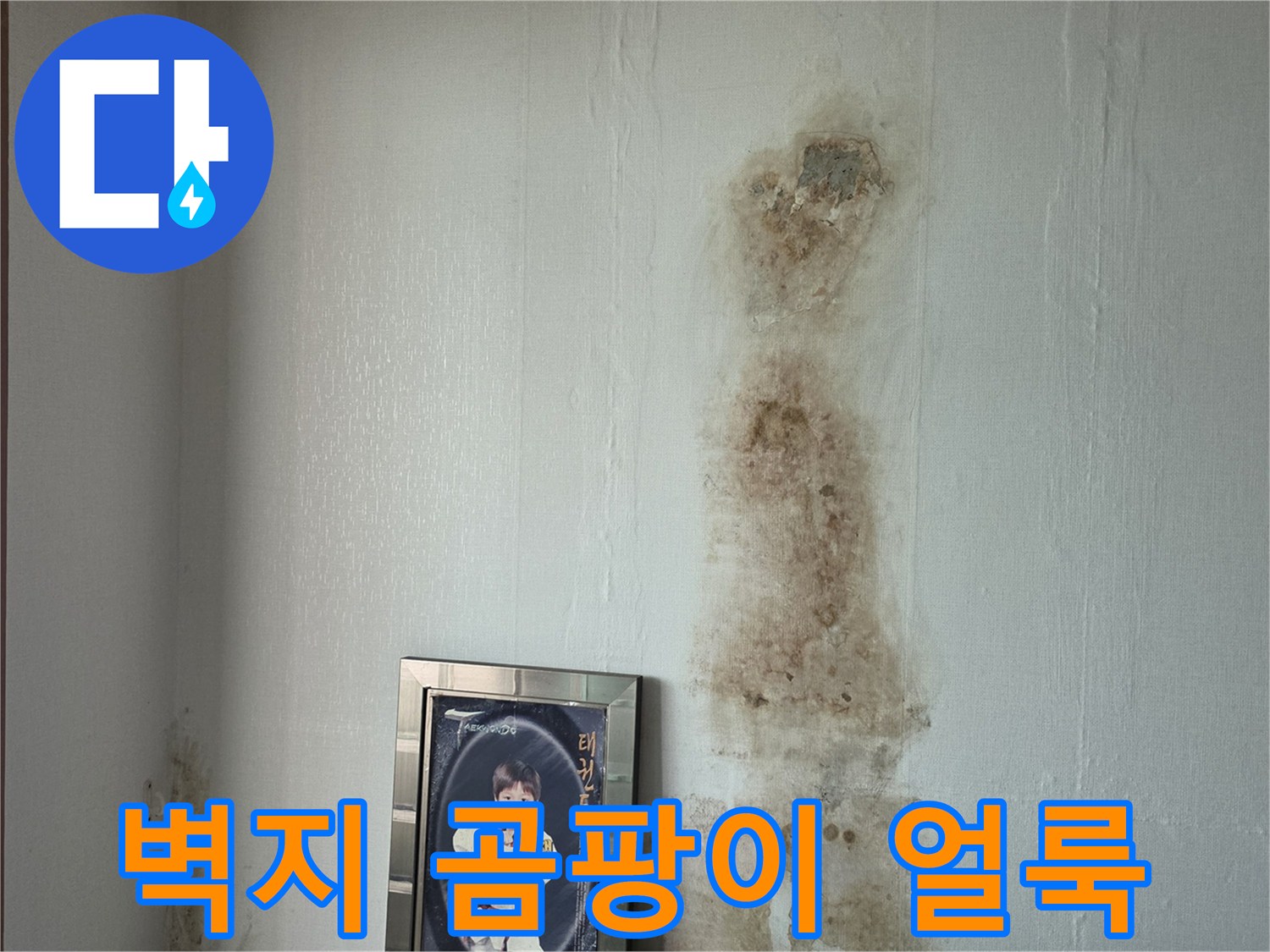 구로구 현장-벽지에 발생한 곰팡이와 물자국