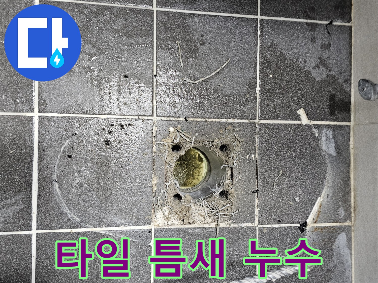 바닥-타일-사이-틈새-오염-및-물고임-현상-관찰-사진