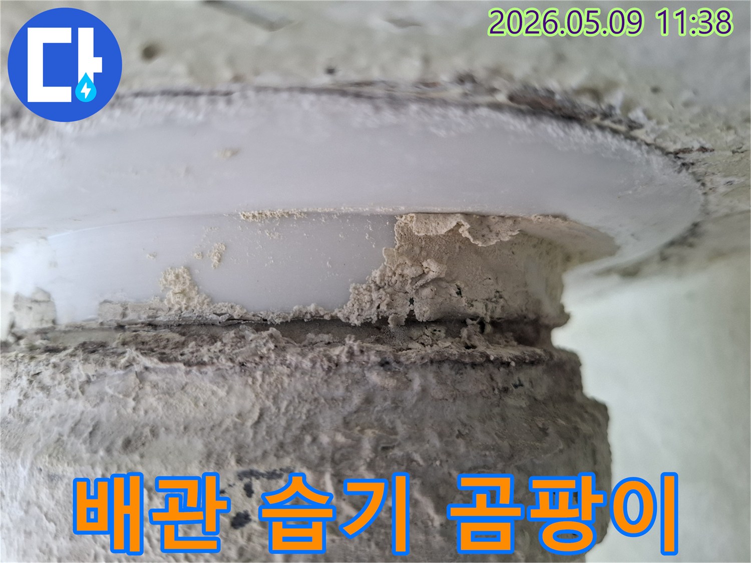 배관-주변에-지속적인-습기로-인해-생성된-곰팡이와-물때를-보여주는-이미지