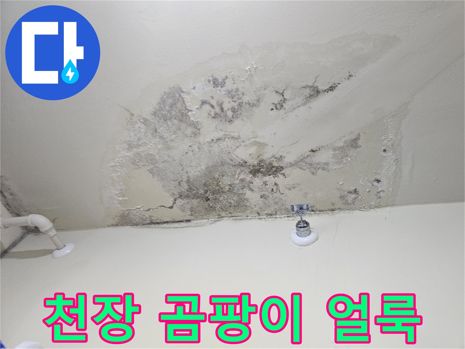물샘으로 인해 발생한-천장 곰팡이와 변색