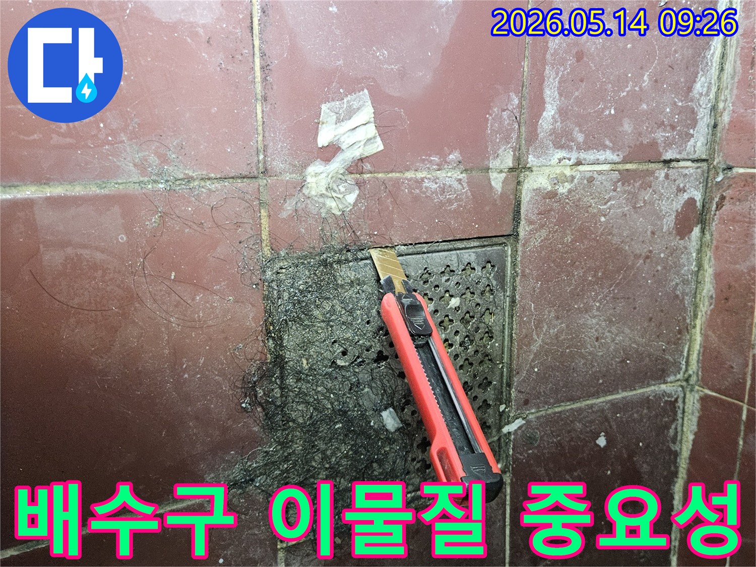 오래된 욕실 하수구에 엉킨 머리카락과 슬러지를 커터칼로 긁어내며 배수구 이물질 제거의 중요성을 보여주는 모습