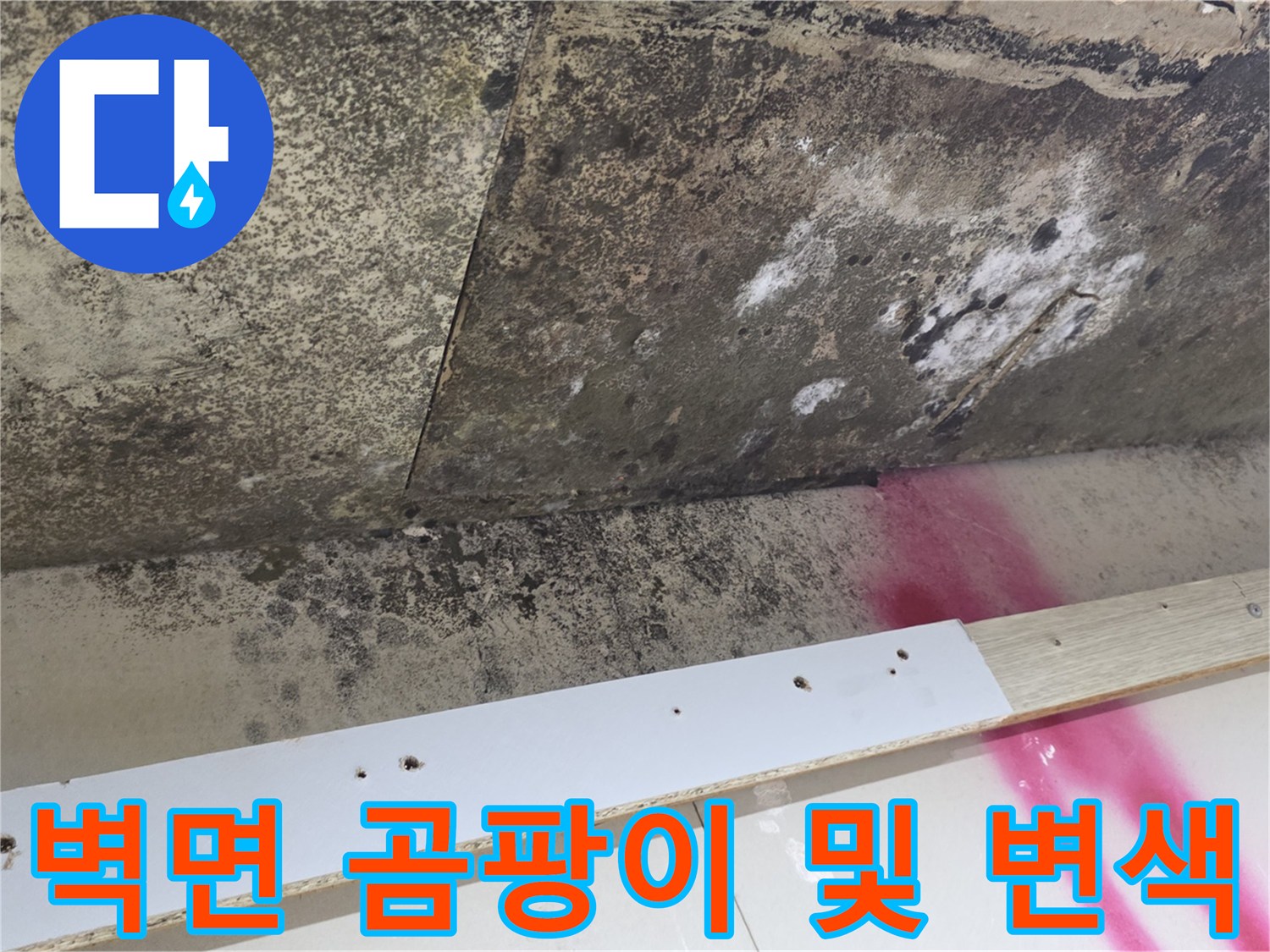 천장 내부-누수로 인한 곰팡이와 벽지 오염