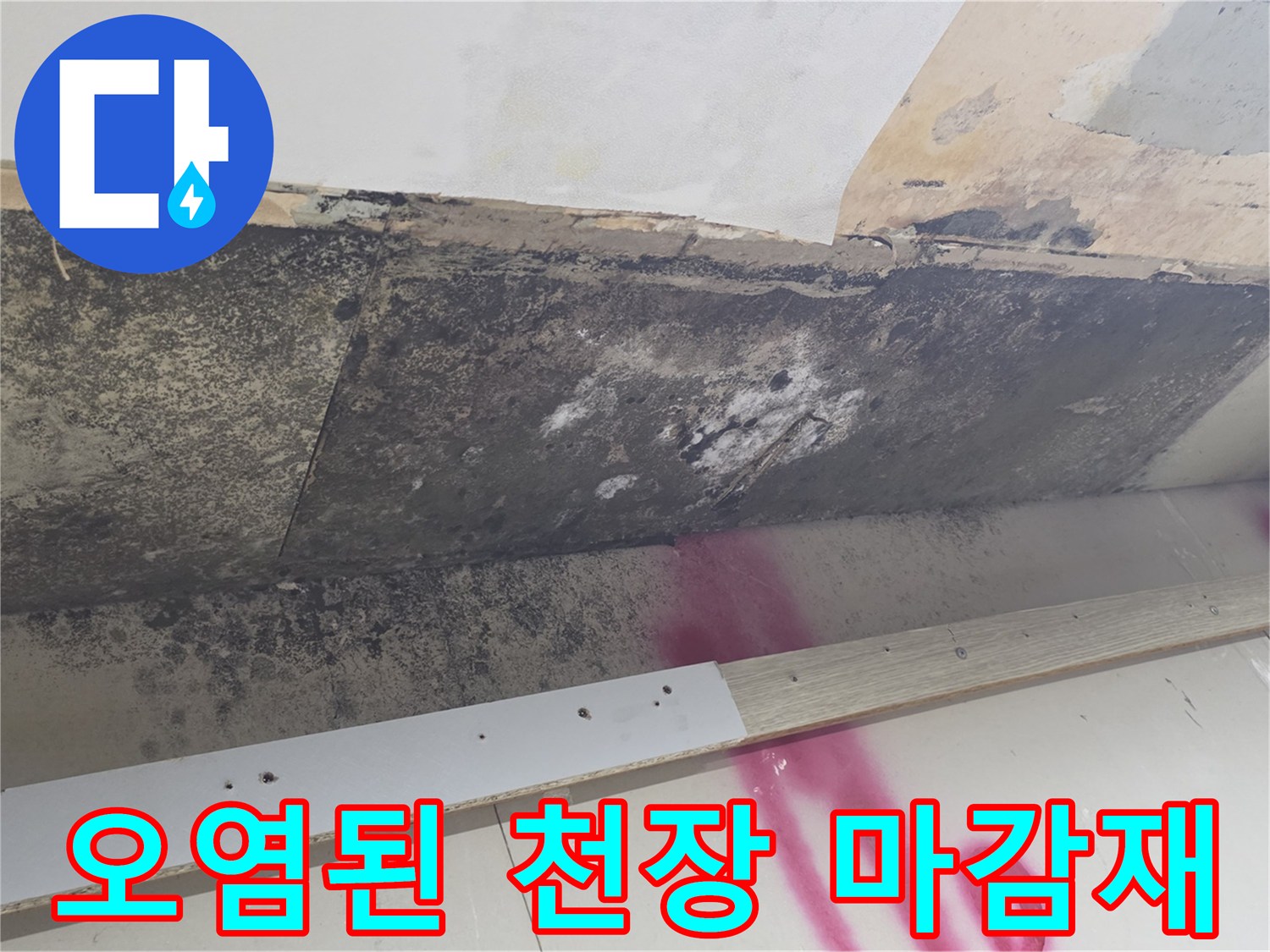 천장 오염 부위-누수로 인해 발생한 곰팡이 흔적