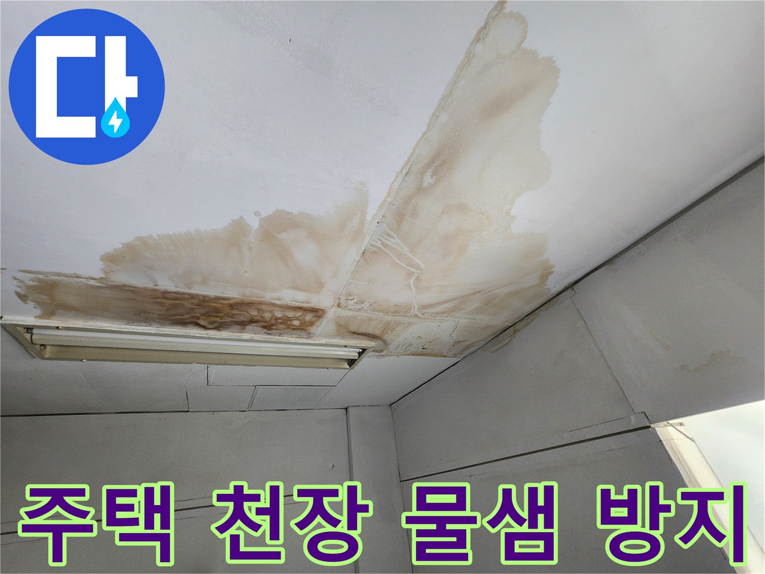 주택 천장 표면에 물이 새어 발생한 갈색 얼룩과 곰팡이가 넓게 퍼져있는-재발 방지 전의 상태