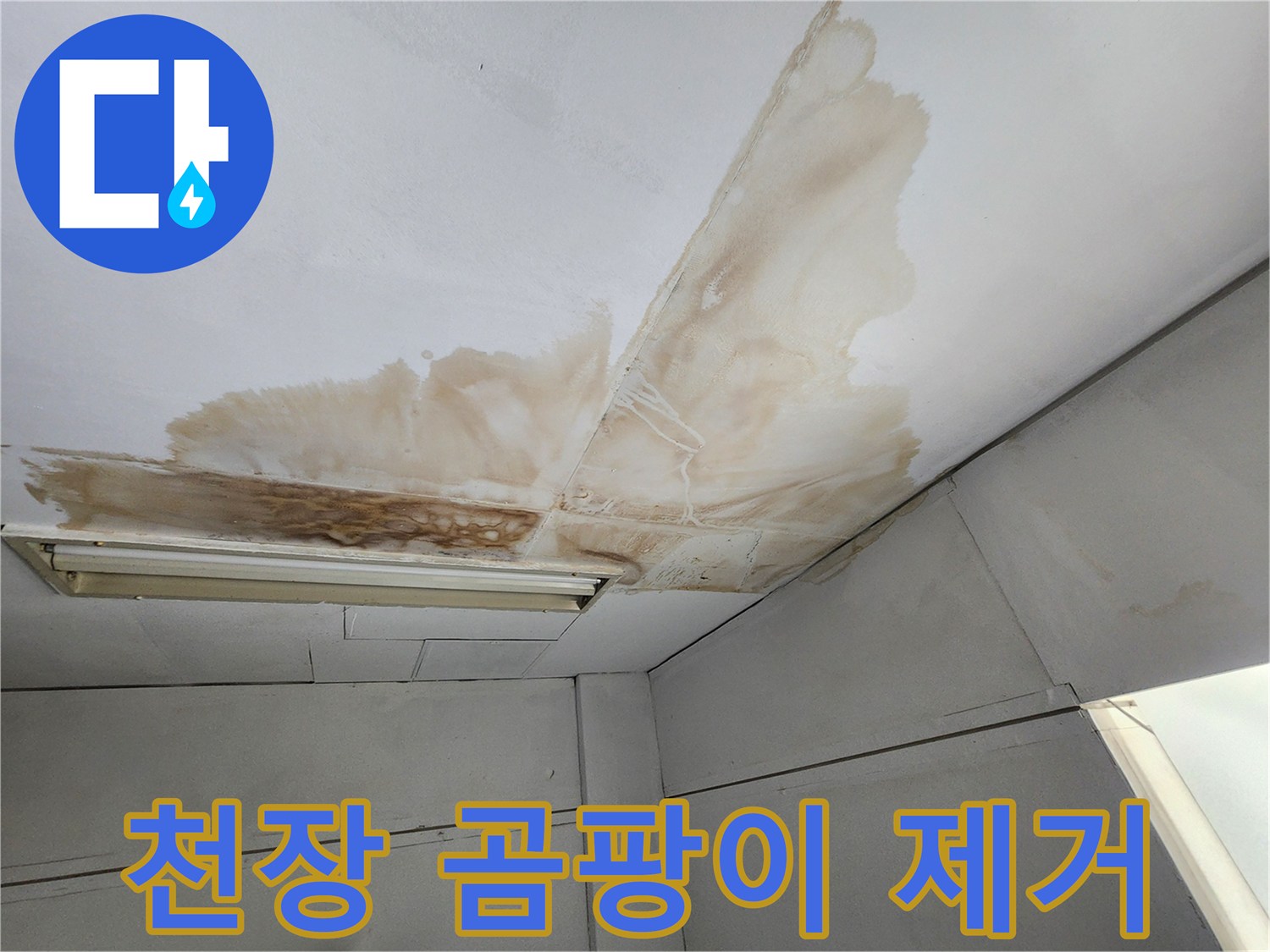 천장 표면에 물이 새어 발생한 갈색 얼룩과 곰팡이가 넓게 퍼져있는 모습