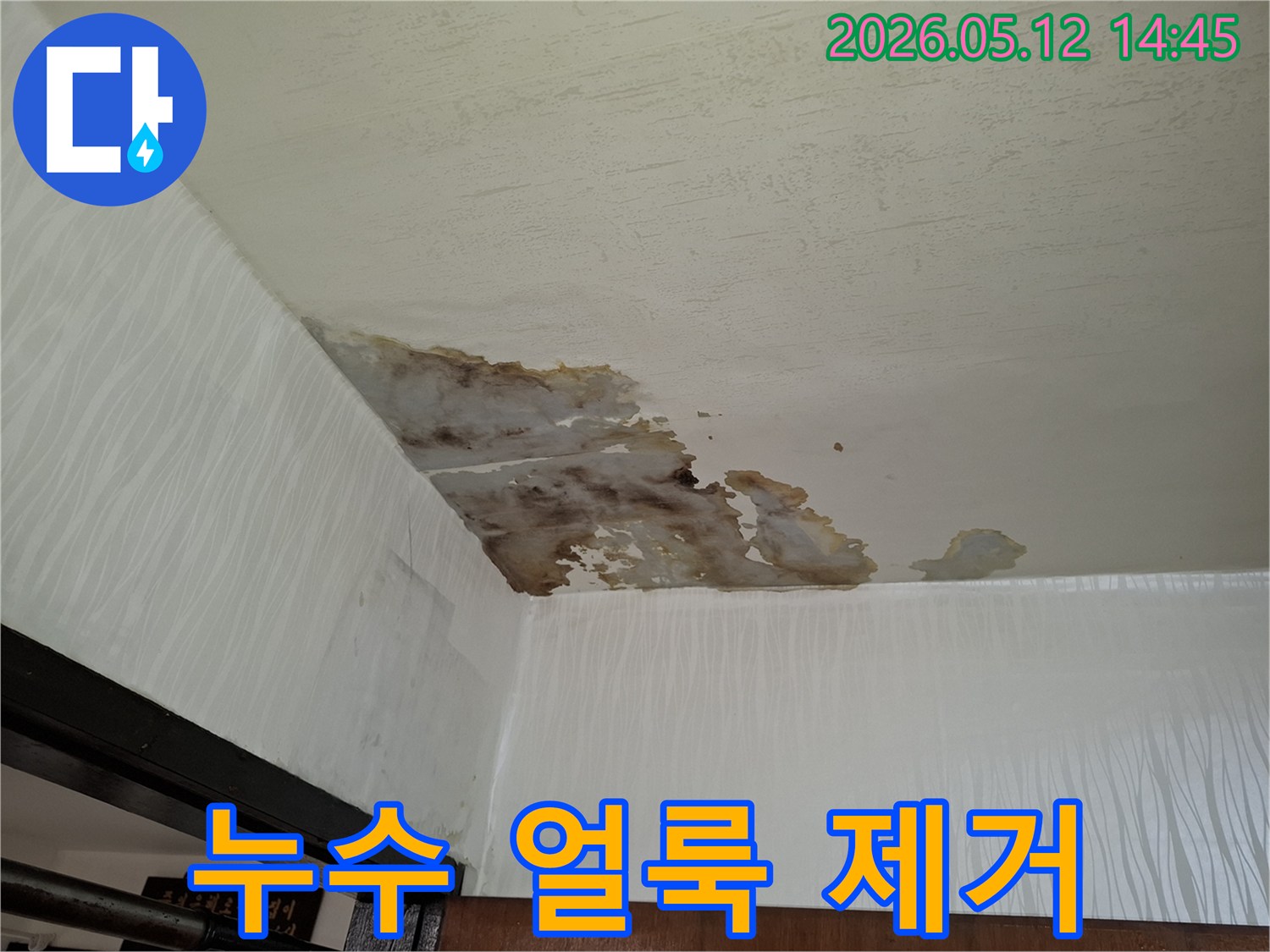 심각한 천장 누수로-인해-벽지 오염과-곰팡이가-시작된-주거 공간의-피해 상황을-담은 사진입니다