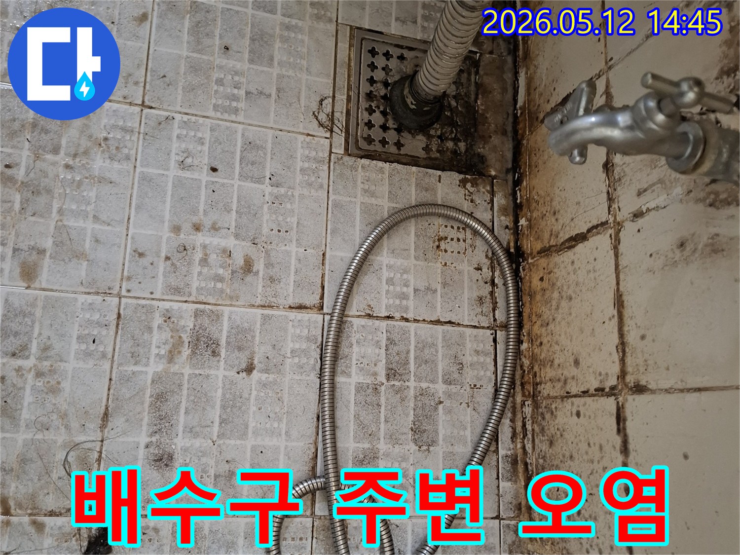 오래된-욕실-바닥의-배수구-주변에-심각하게-발생한-오염과-곰팡이가-누수-문제를-시사하는-사진입니다