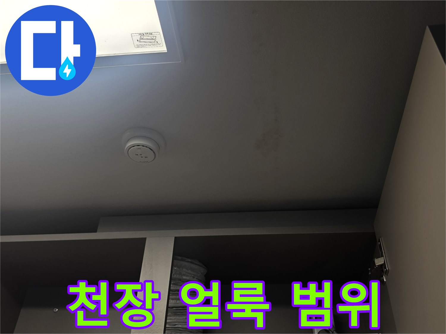 넓게 퍼진 천장 누수 얼룩과 습기 흔적