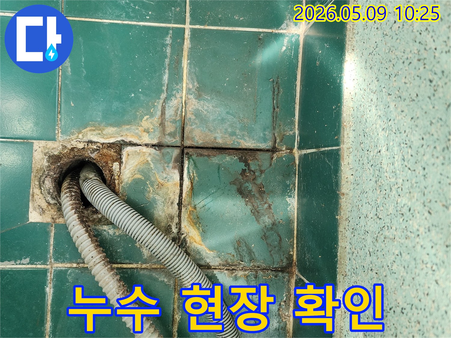 화장실 바닥 배수구에서 시작된 누수로-주변 타일과 줄눈이 심하게 손상된 모습입니다