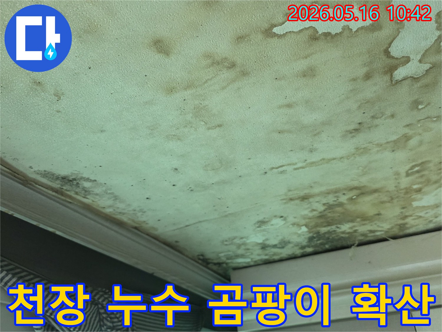 누수로-인해-천장에-발생한-물자국과-곰팡이가-넓게-확산된-심각한-상태입니다