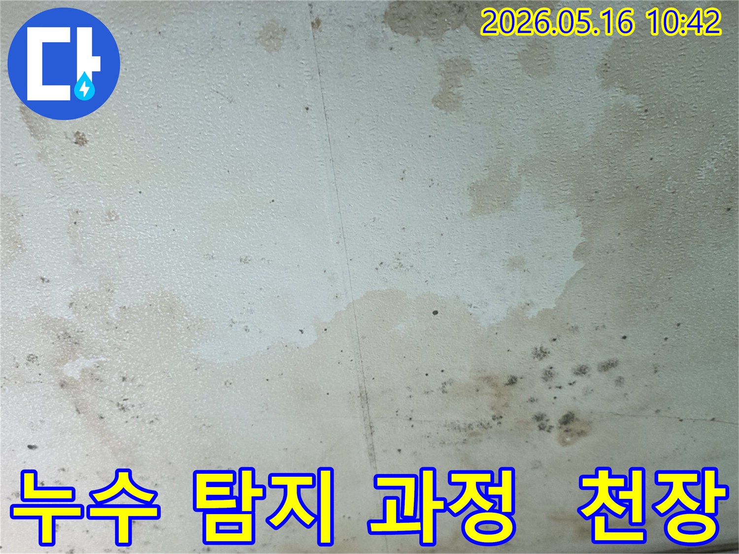 누수로-인해-천장에-생긴-물-얼룩과-곰팡이-피해-현장-사진