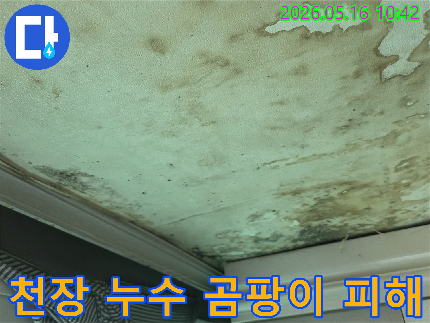 천장-누수로-인해-발생한-물자국과-곰팡이-피해가-심각한-현장-사진입니다