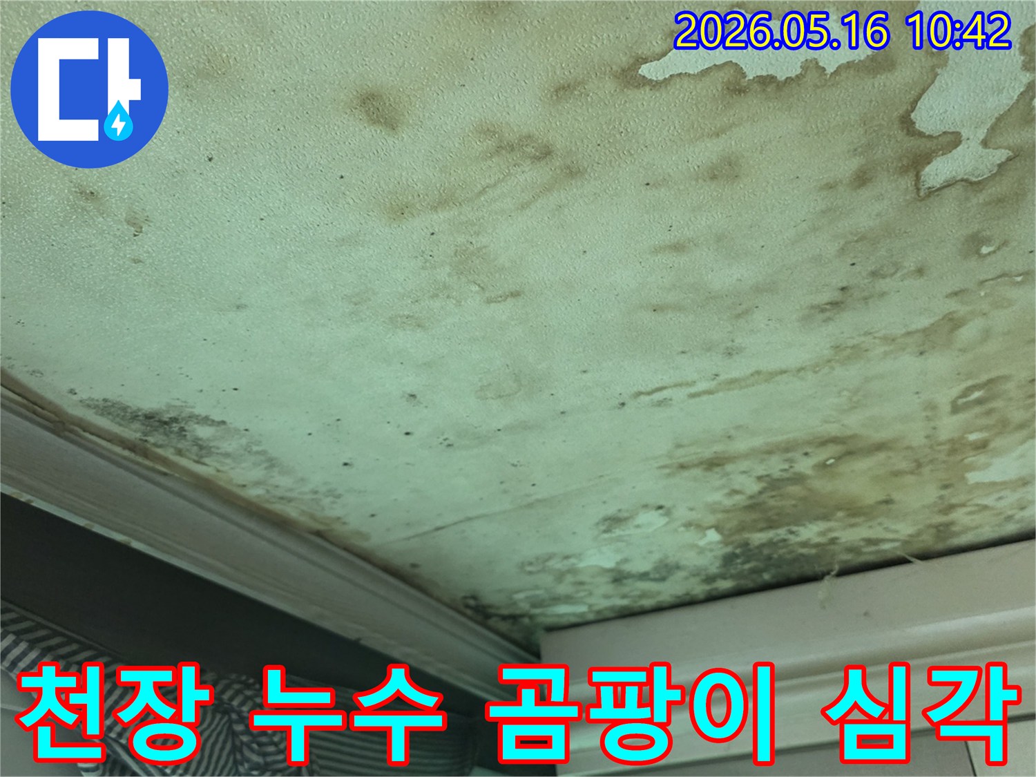 천장-누수로-인해-발생한-물자국과-곰팡이가-심각하게-확산된-모습입니다