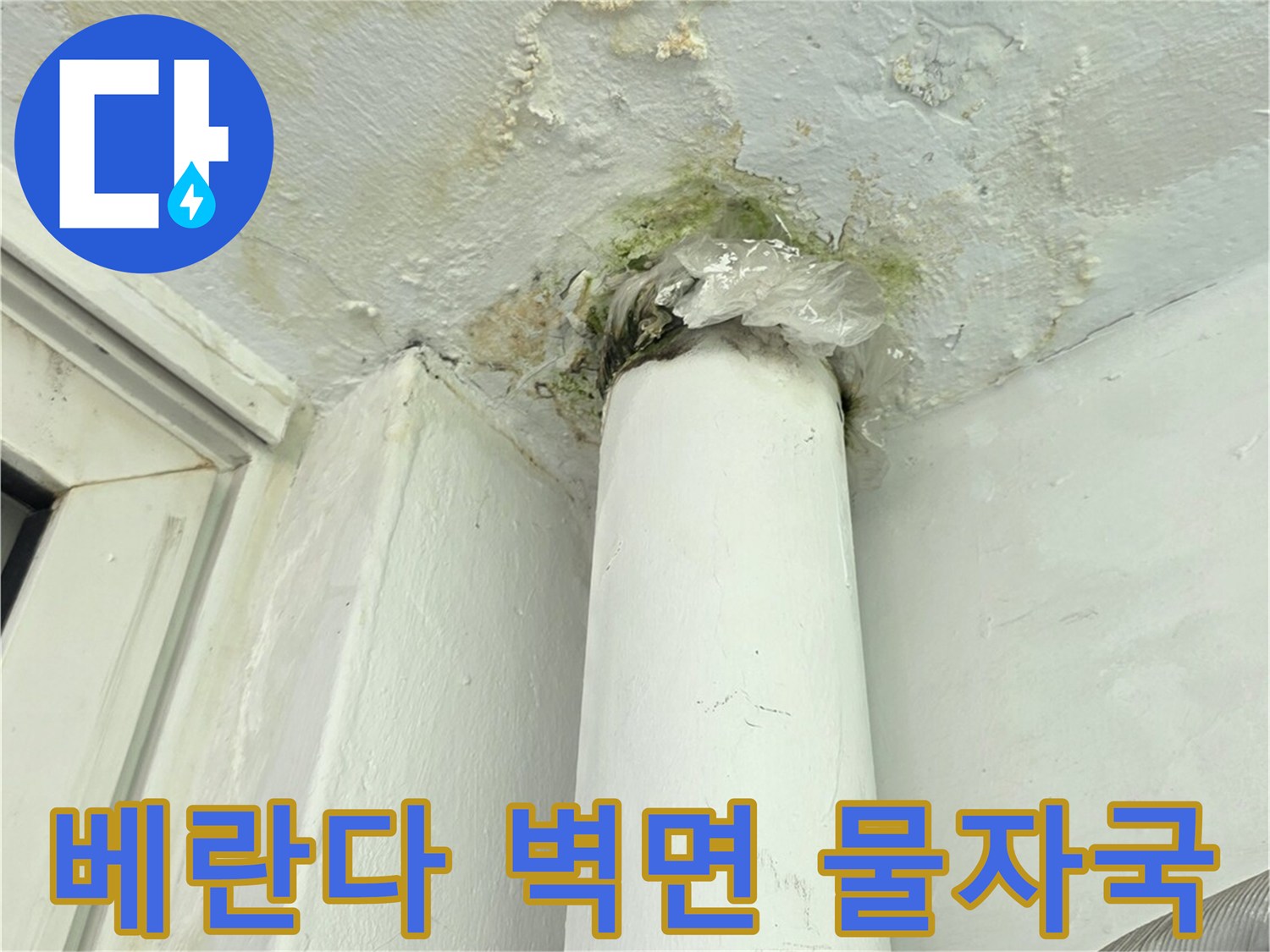 양천구 베란다 창틀 주변의 젖은 벽면과 곰팡이 흔적