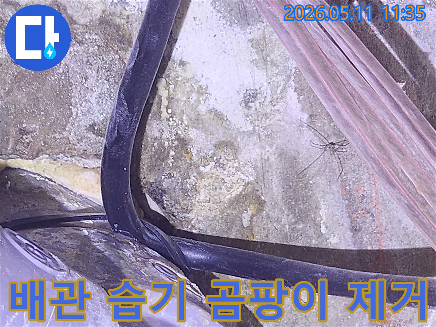 누수로-인한-배관-주변의-습기와-곰팡이를-제거하기-위해-현장을-점검하는-사진