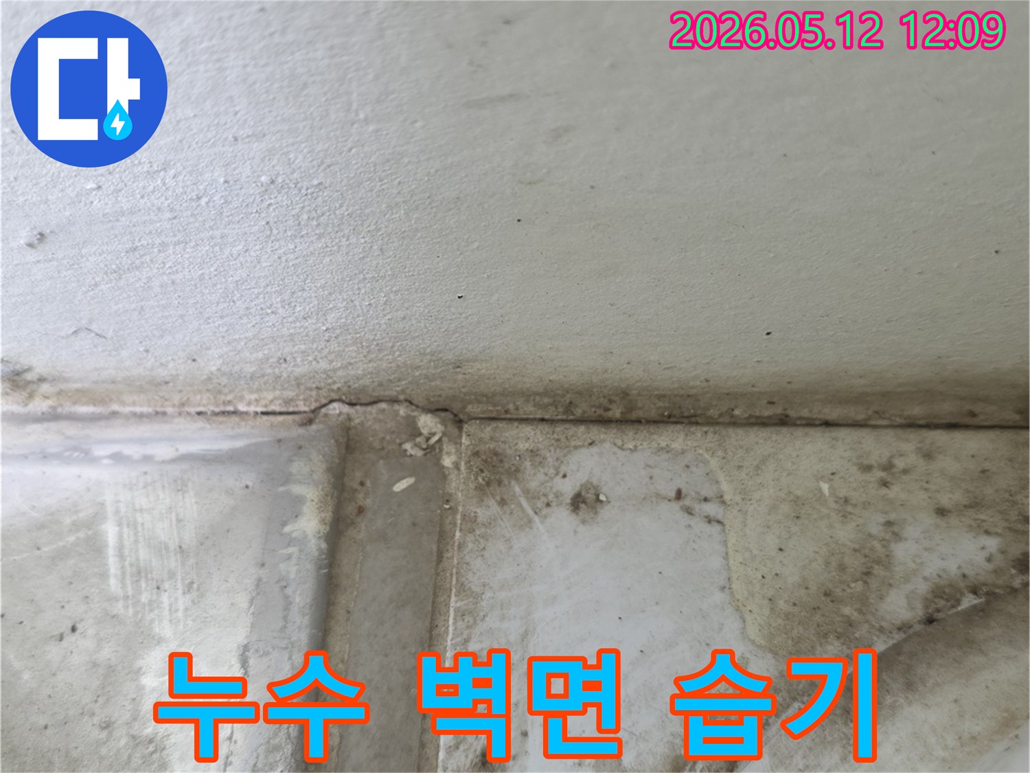 벽-모서리-틈새로-물이-새어-나와-곰팡이와-함께-벽면이-손상된-모습을-촬영했습니다.