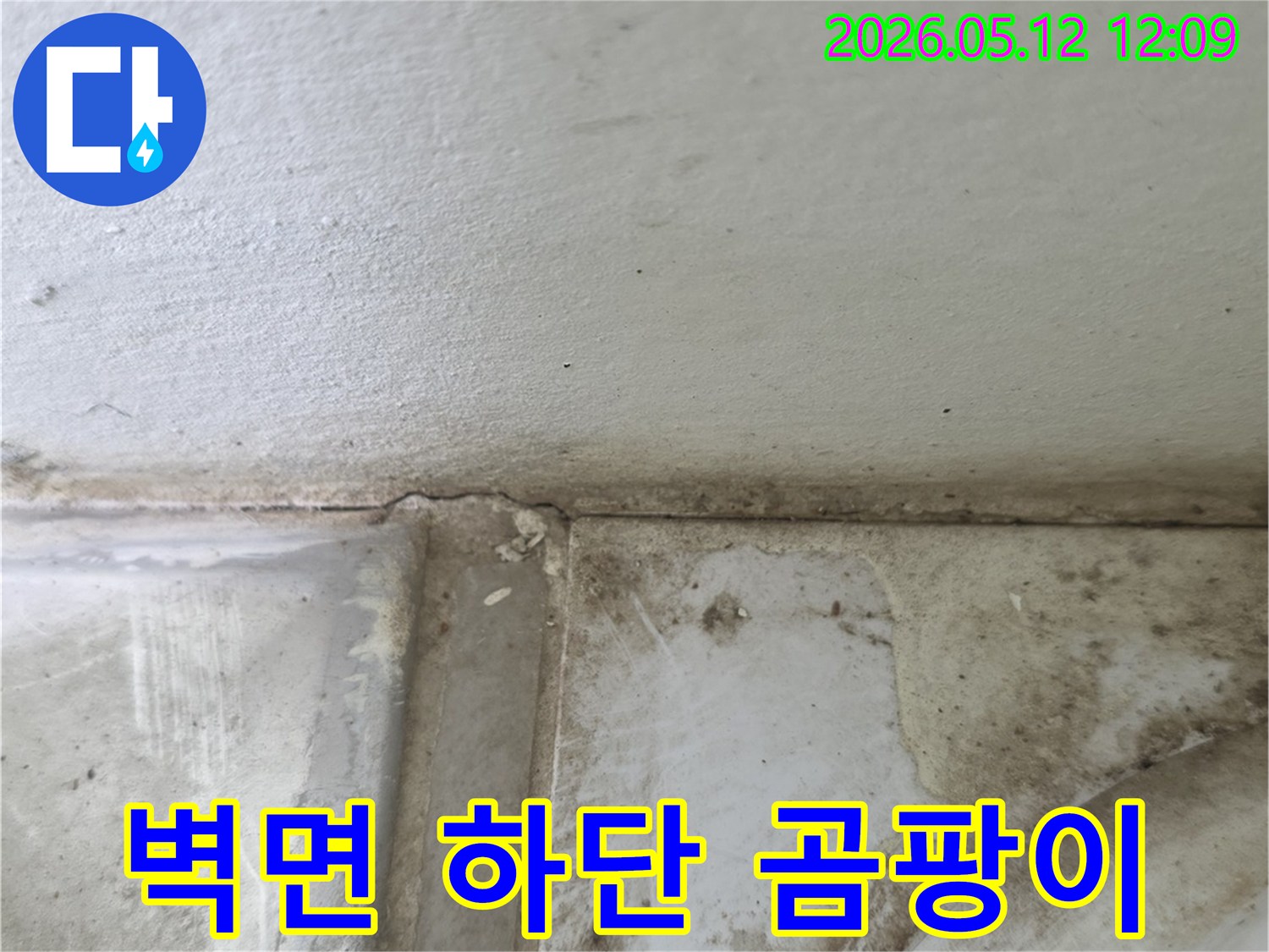 벽면-하단부와-모서리에-누수로-인한-오염과-곰팡이가-심각하게-진행된-모습입니다.