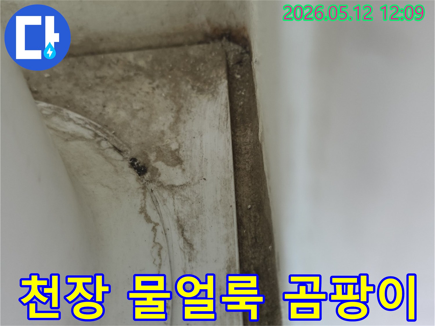 욕실-천장-모서리에-발생한-오래된-물얼룩과-곰팡이-자국으로-인한-손상