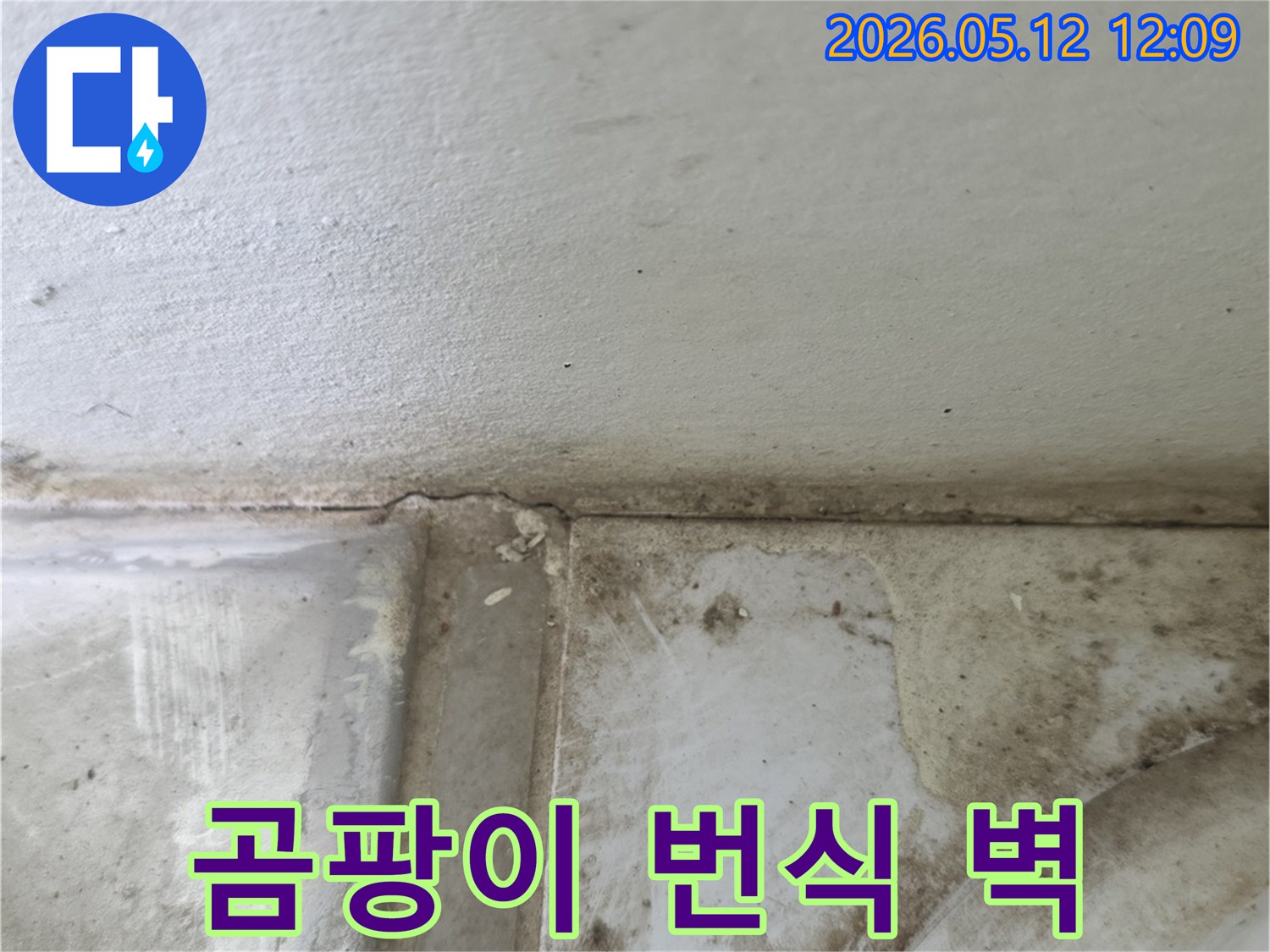 지속적인-물샘으로-인해-벽면이-젖고-곰팡이가-광범위하게-퍼진-현장-사진입니다.