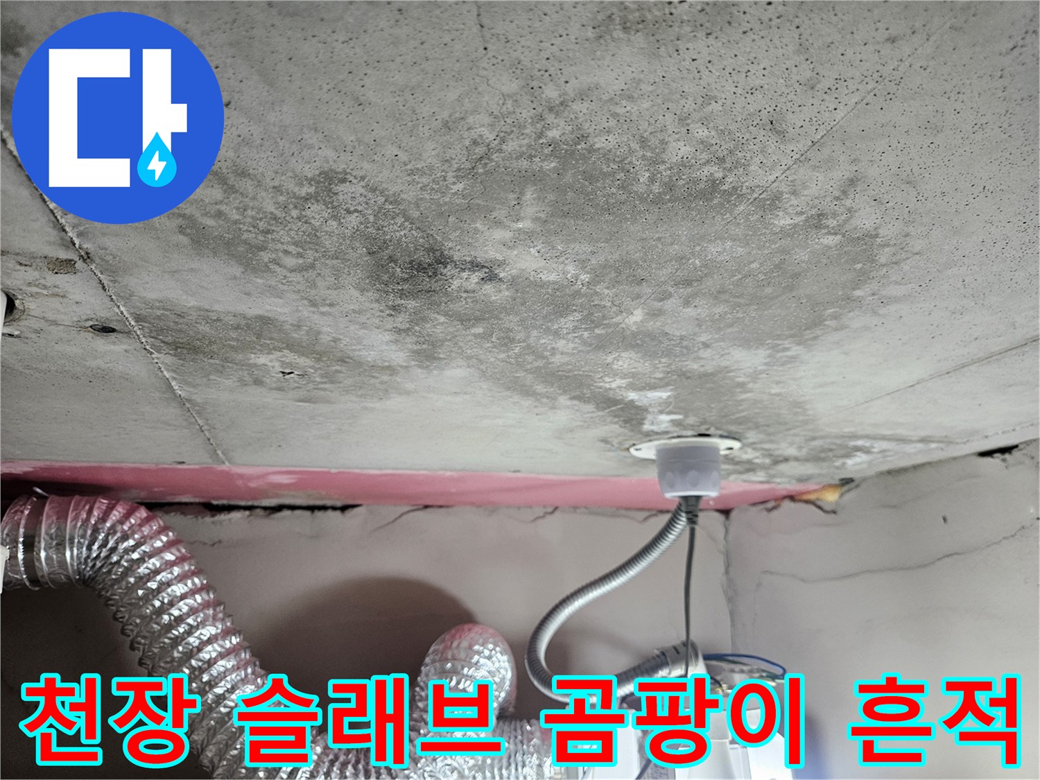 아랫집 화장실 천장 배관 주변의 젖은 콘크리트와 곰팡이