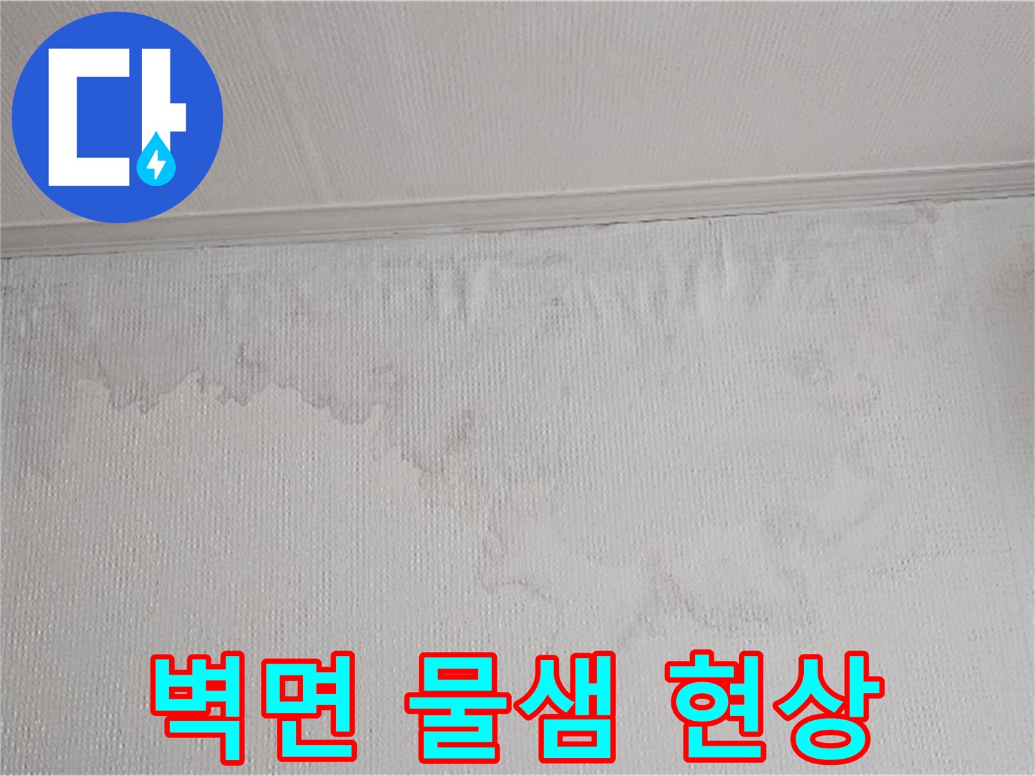 벽면에 넓게 퍼진 물자국은 누수가 진행되고 있음을 명확히 보여줍니다-전문적인 진단으로 해결해야 합니다