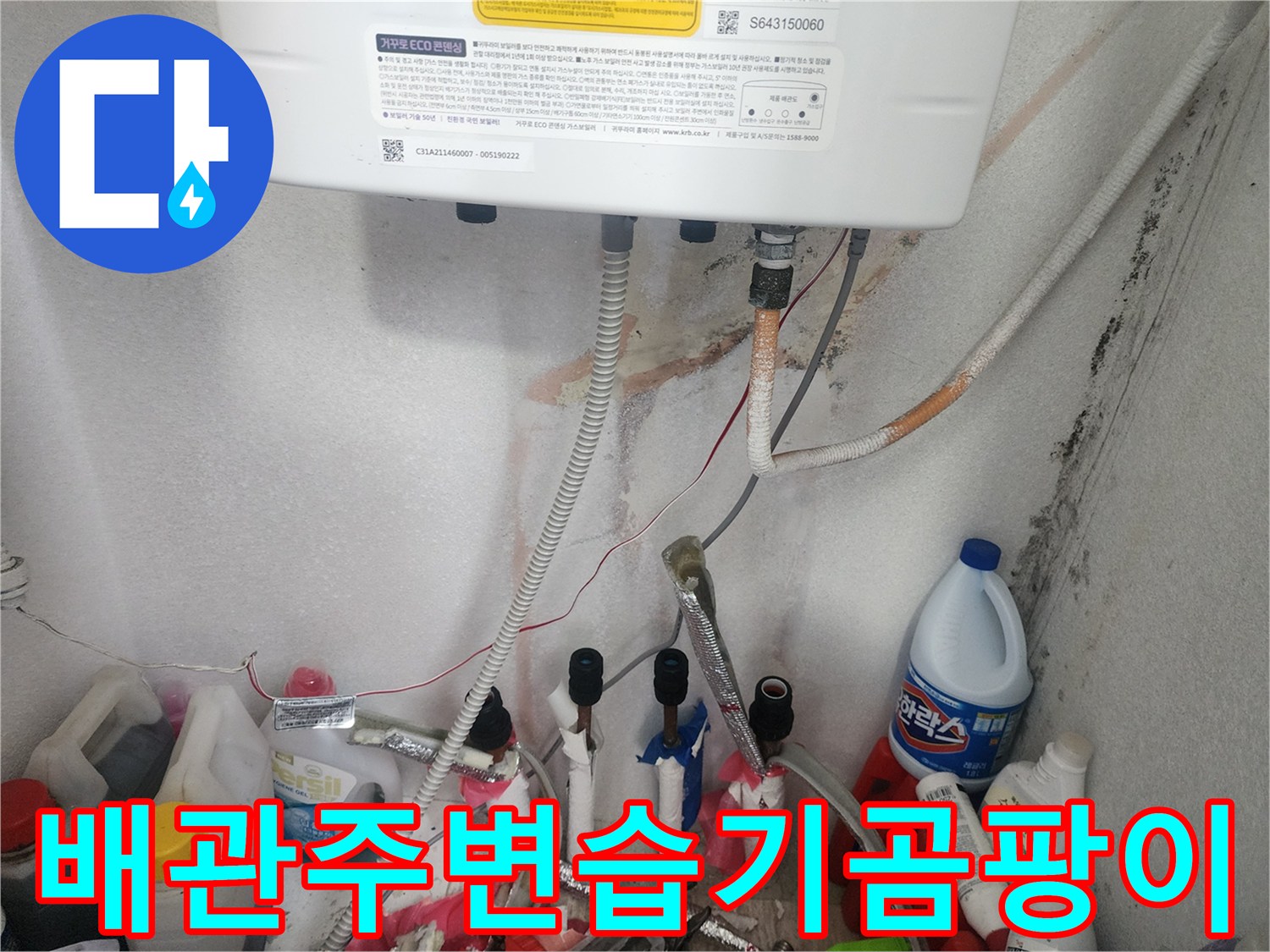 보일러 배관 누수로 인해-손상된 배관 주변의 습기와 곰팡이를 확인하는 작업 과정