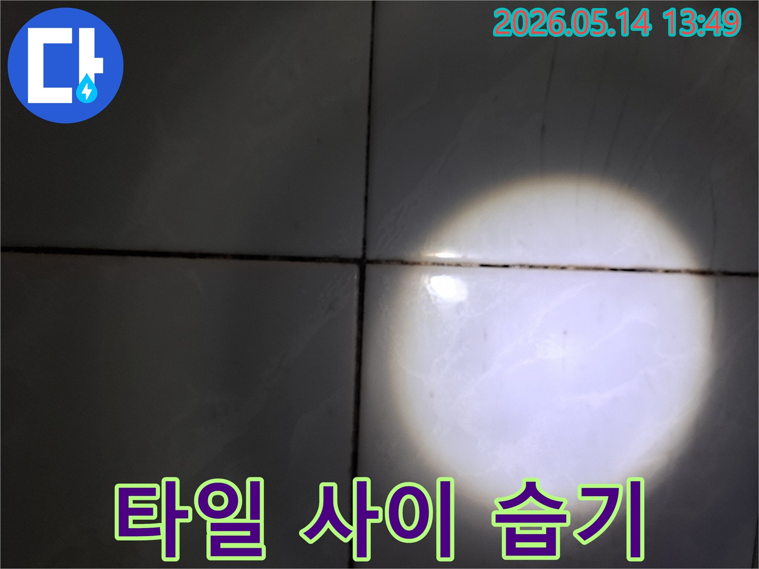 누수 탐지 중-성북구 아파트-타일 사이의-변색된-부분을-집중적으로-촬영한-사진