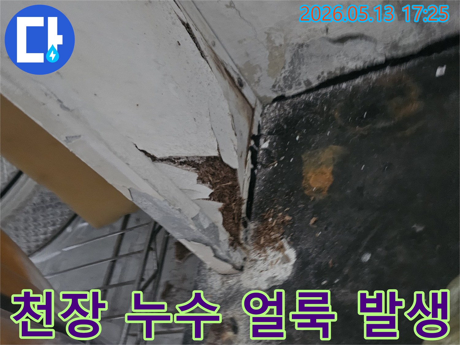 천장 누수로 인해 벽면 페인트가 심하게 손상되고-얼룩과 곰팡이가 발생한 현장입니다-누수 전문가의 완벽 복원 작업이 필요합니다