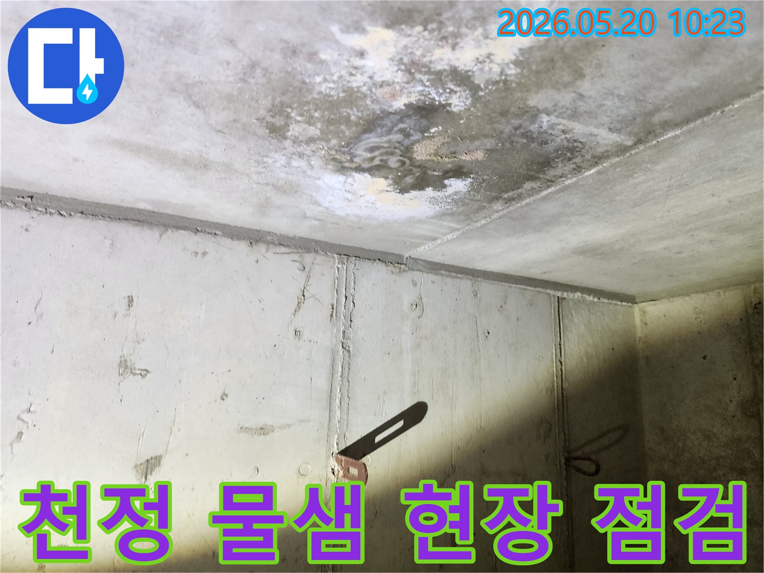 물기로 인해 얼룩지고-곰팡이가 핀 콘크리트 천정의 모습