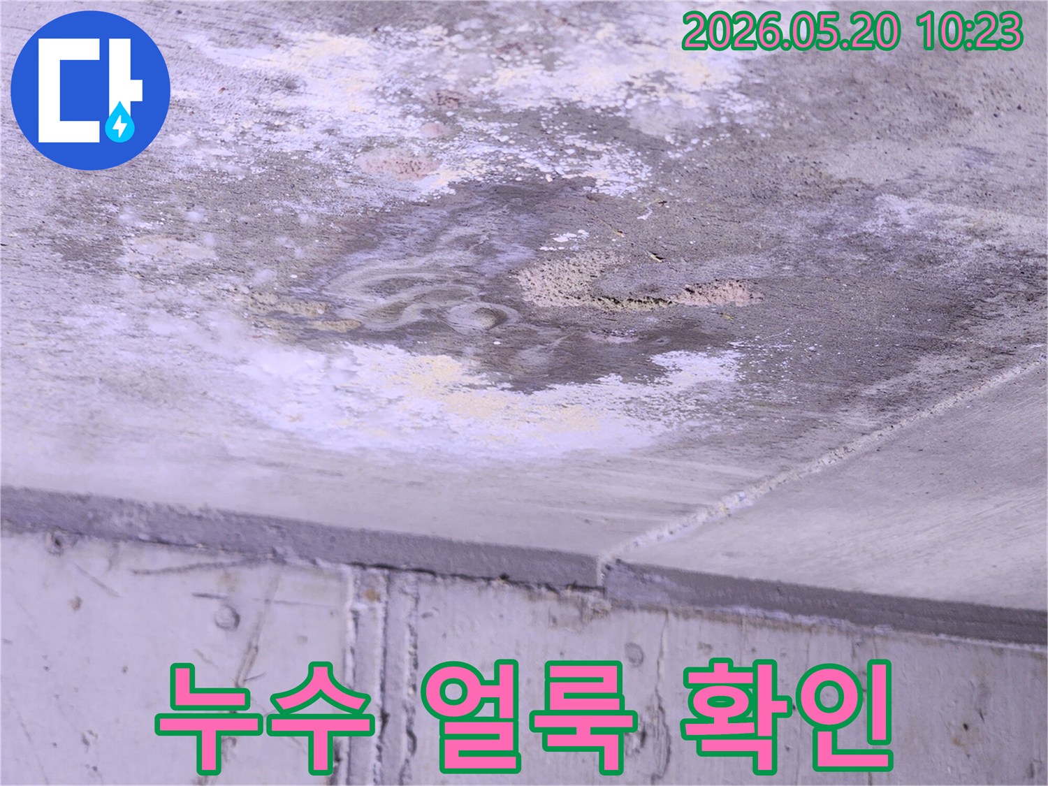 물이-마르면서-남긴-얼룩과-새로-젖은-부분이-혼재된-천장-누수-현장-사진입니다