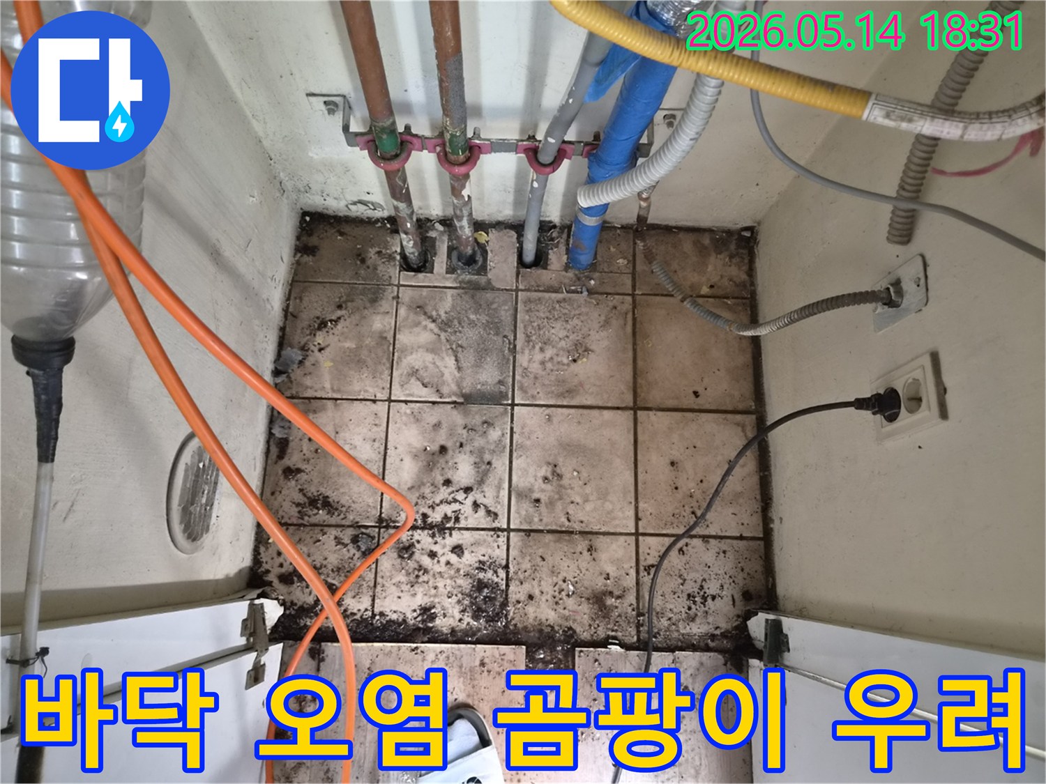누수로 인해 심하게 오염된 바닥과-곰팡이가 우려되는-하남 아파트 누수 현장