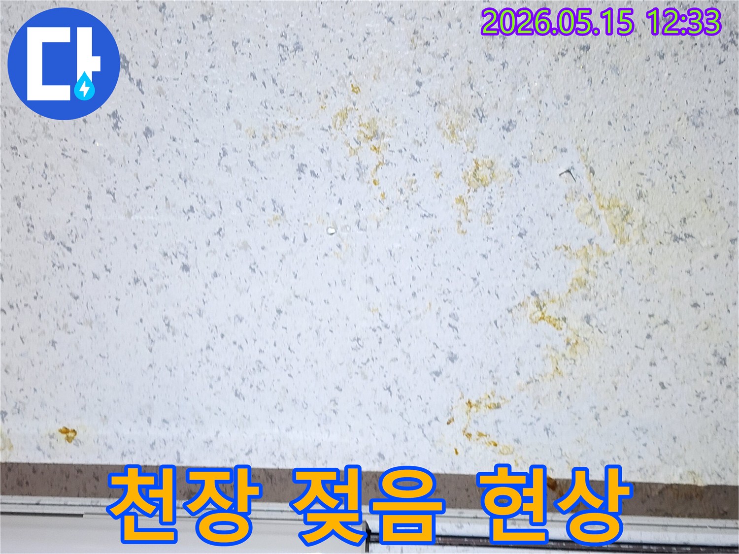 사무실-천장이-젖어있는-누수-현상-업무-지장-최소화-긴급-조치-필요