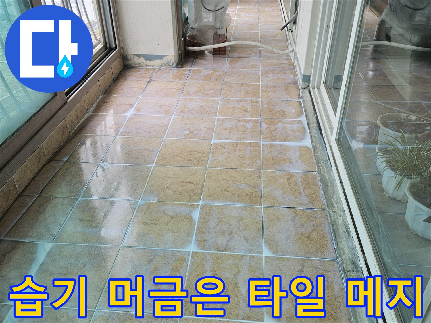 물기가 스며들어 변색된 베란다 타일 줄눈 부위
