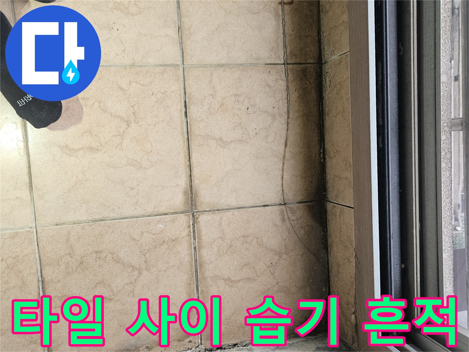습기가 머물러 변색된 타일 줄눈을 촬영한 사진입니다.