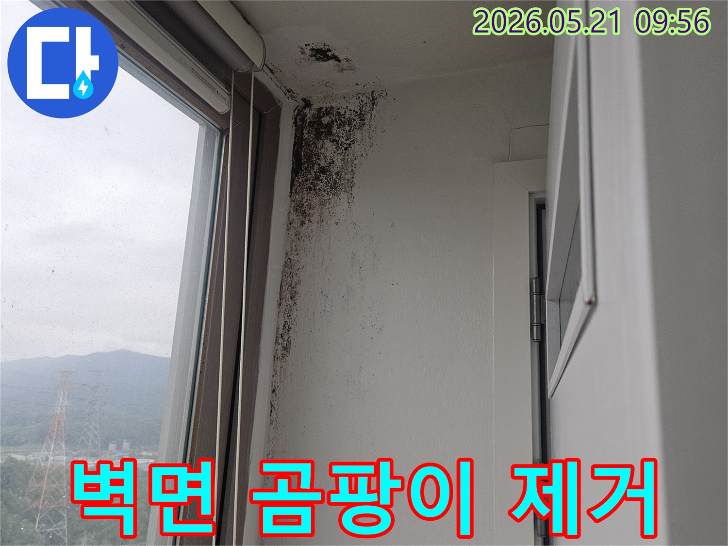 창문 상단 벽과 천장 모서리에 심각하게 번식한-검은 곰팡이-습기-누수-피해 현장