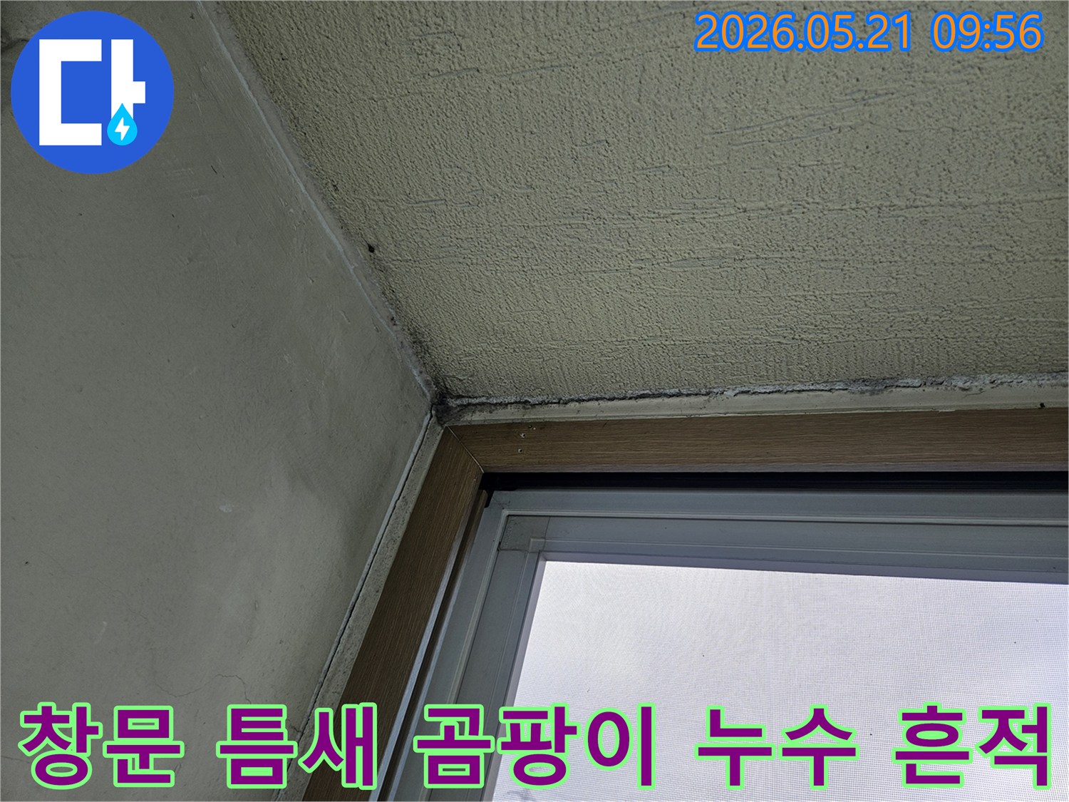 창문 주변 벽면에 발생한 곰팡이와-누수 흔적을 보여주는-아파트 내부 모습