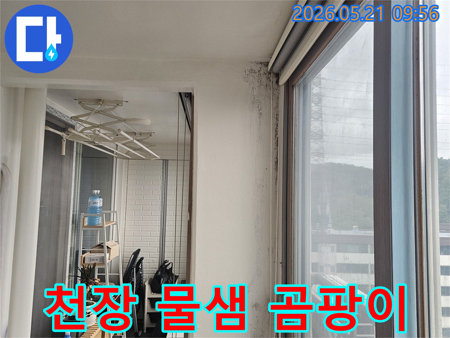 천장과 벽이 만나는 모서리에 물-샘으로 인한 검은 곰팡이와 물-자국이 심하게 발생한 모습입니다.