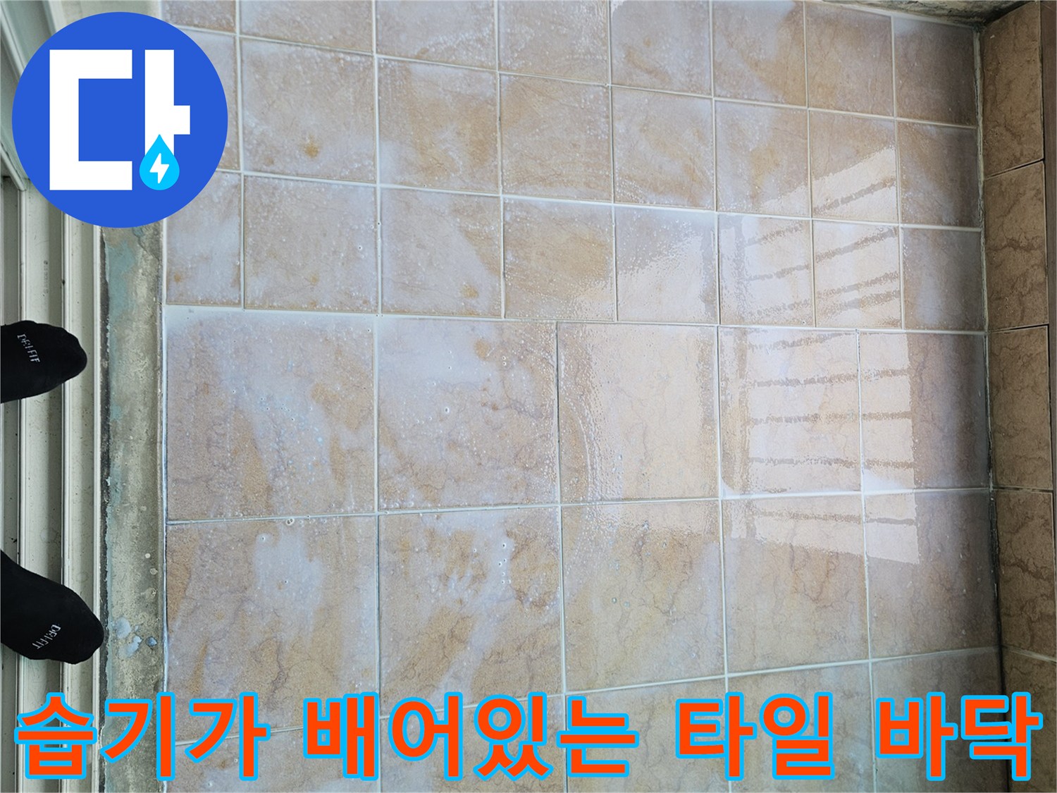 타일 줄눈 부위의 습기 오염과 변색된 상태를 촬영한 사진