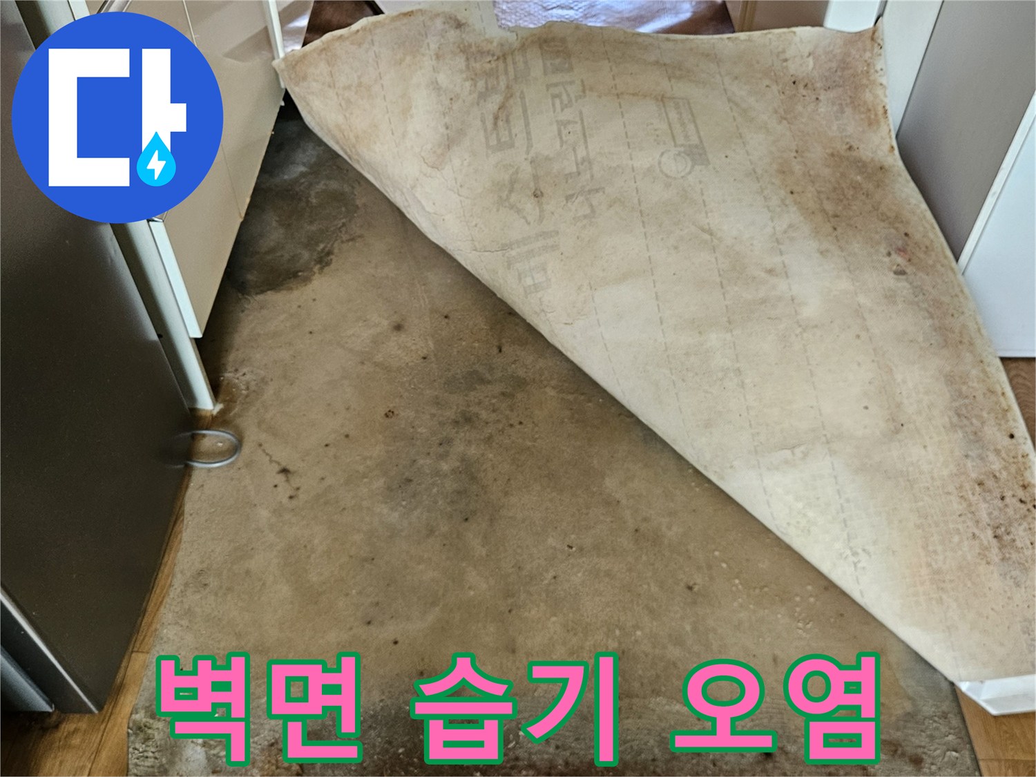누수 확인을 위해-들춰낸 벽면의 곰팡이 상태